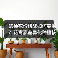 洛神花价格战如何突围？花青素差异化种植核心策略（图3）