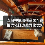 当归种植如何逆袭？品相优化打造差异化优势（图4）