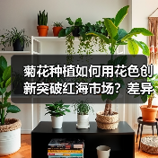 菊花种植如何用花色创新突破红海市场？差异化策略全解析（图3）