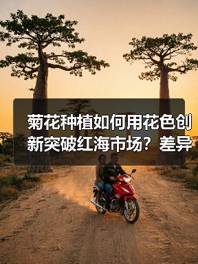 菊花种植如何用花色创新突破红海市场？差异化策略全解析（图4）