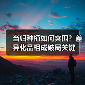 当归种植如何突围？差异化品相成破局关键（图1）
