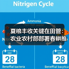 夏粮丰收关键在田管：农业农村部部署春耕推进措施（图3）