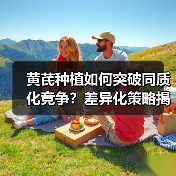 黄芪种植如何突破同质化竞争？差异化策略揭秘（图1）
