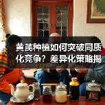 黄芪种植如何突破同质化竞争？差异化策略揭秘（图2）