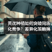黄芪种植如何突破同质化竞争？差异化策略揭秘（图4）