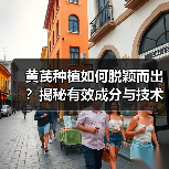 黄芪种植如何脱颖而出？揭秘有效成分与技术的关键差异（图1）