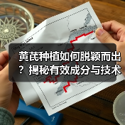黄芪种植如何脱颖而出？揭秘有效成分与技术的关键差异（图3）
