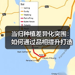 当归种植差异化突围：如何通过品相提升打造高端市场竞争力？（图3）