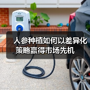 人参种植如何以差异化策略赢得市场先机（图2）