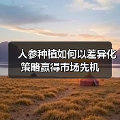 人参种植如何以差异化策略赢得市场先机（图4）