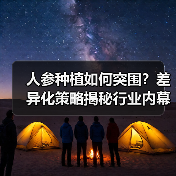 人参种植如何突围？差异化策略揭秘行业内幕（图1）