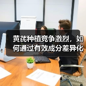 黄芪种植竞争激烈，如何通过有效成分差异化突围？（图1）