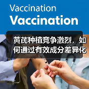 黄芪种植竞争激烈，如何通过有效成分差异化突围？（图3）