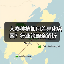 人参种植如何差异化突围？行业策略全解析（图4）