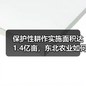 保护性耕作实施面积达1.4亿亩，东北农业如何转型？（图1）