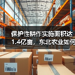 保护性耕作实施面积达1.4亿亩，东北农业如何转型？（图4）