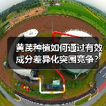 黄芪种植如何通过有效成分差异化突围竞争?秘诀大揭秘(图3) 黄芪种植如何通过有效成分差异化突围竞争?秘诀大揭秘(图3)