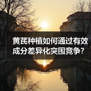 黄芪种植如何通过有效成分差异化突围竞争?秘诀大揭秘(图4) 黄芪种植如何通过有效成分差异化突围竞争?秘诀大揭秘(图4)
