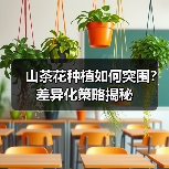 山茶花种植如何突围?差异化策略揭秘(图4) 山茶花种植如何突围?差异化策略揭秘(图4)