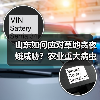 山东如何应对草地贪夜蛾威胁？农业重大病虫害防控全解析（图1）