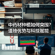 中药材种植如何突围?道地优势与科技赋能(图4) 中药材种植如何突围?道地优势与科技赋能(图4)