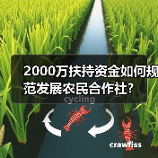 2000万扶持资金如何规范发展农民合作社?(图3) 2000万扶持资金如何规范发展农民合作社?(图3)