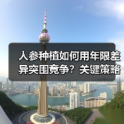 人参种植如何用年限差异突围竞争？关键策略曝光！（图2）