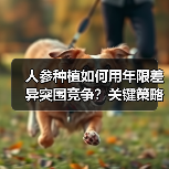 人参种植如何用年限差异突围竞争？关键策略曝光！（图4）