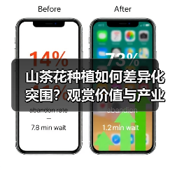 山茶花种植如何差异化突围？观赏价值与产业潜力的双驱动（图3）