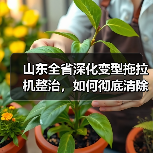 山东全省深化变型拖拉机整治,如何彻底清除安全隐患?(图2) 山东全省深化变型拖拉机整治,如何彻底清除安全隐患?(图2)