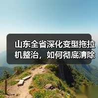 山东全省深化变型拖拉机整治,如何彻底清除安全隐患?(图4) 山东全省深化变型拖拉机整治,如何彻底清除安全隐患?(图4)