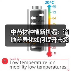 中药材种植新机遇:道地差异化如何提升市场竞争力?(图3) 中药材种植新机遇:道地差异化如何提升市场竞争力?(图3)