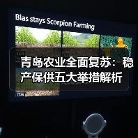 青岛农业全面复苏：稳产保供五大举措解析（图1）
