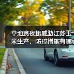 草地贪夜蛾威胁江苏玉米生产,防控措施有哪些?(图2) 草地贪夜蛾威胁江苏玉米生产,防控措施有哪些?(图2)