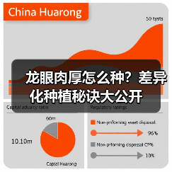龙眼肉厚怎么种？差异化种植秘诀大公开（图1）