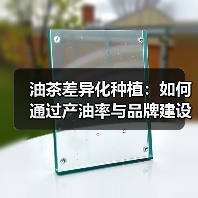 油茶差异化种植:如何通过产油率与品牌建设赢得竞争?(图4) 油茶差异化种植:如何通过产油率与品牌建设赢得竞争?(图4)