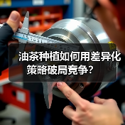 油茶种植如何用差异化策略破局竞争？（图4）