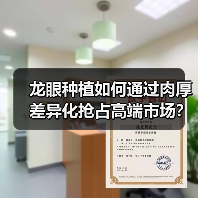 龙眼种植如何通过肉厚差异化抢占高端市场?(图4) 龙眼种植如何通过肉厚差异化抢占高端市场?(图4)