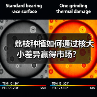 荔枝种植如何通过核大小差异赢得市场？（图1）