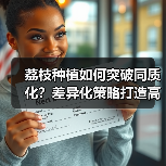 荔枝种植如何突破同质化？差异化策略打造高价秘诀（图2）