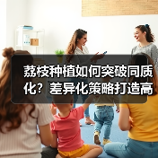 荔枝种植如何突破同质化？差异化策略打造高价秘诀（图3）