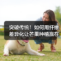 突破传统!如何用纤维差异化让芒果种植赢在起跑线(图2) 突破传统!如何用纤维差异化让芒果种植赢在起跑线(图2)
