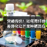 突破传统!如何用纤维差异化让芒果种植赢在起跑线(图1) 突破传统!如何用纤维差异化让芒果种植赢在起跑线(图1)