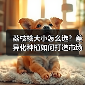 荔枝核大小怎么选?差异化种植如何打造市场竞争力?(图4) 荔枝核大小怎么选?差异化种植如何打造市场竞争力?(图4)