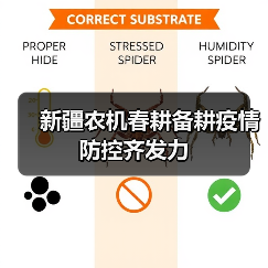 新疆农机春耕备耕疫情防控齐发力（图3）