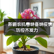 新疆农机春耕备耕疫情防控齐发力（图4）