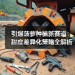 引爆菠萝种植新赛道:甜度差异化策略全解析(图1) 引爆菠萝种植新赛道:甜度差异化策略全解析(图1)