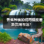 香蕉种植如何用糯度差异赢得市场?(图2) 香蕉种植如何用糯度差异赢得市场?(图2)