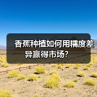 香蕉种植如何用糯度差异赢得市场?(图4) 香蕉种植如何用糯度差异赢得市场?(图4)