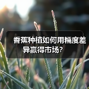 香蕉种植如何用糯度差异赢得市场?(图3) 香蕉种植如何用糯度差异赢得市场?(图3)